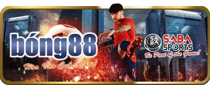 Hướng dẫn bắt đầu cá cược tại mksport login
